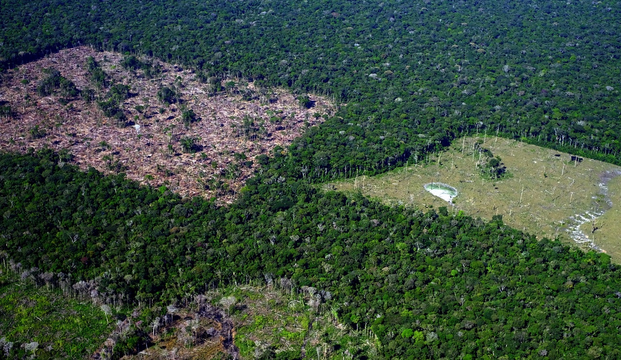 imagem aérea mostra floresta amazônica com clareiras abertas por desmatamento