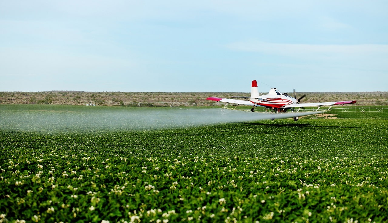 Avião pulveriza lavoura para combater a infestação de pragas